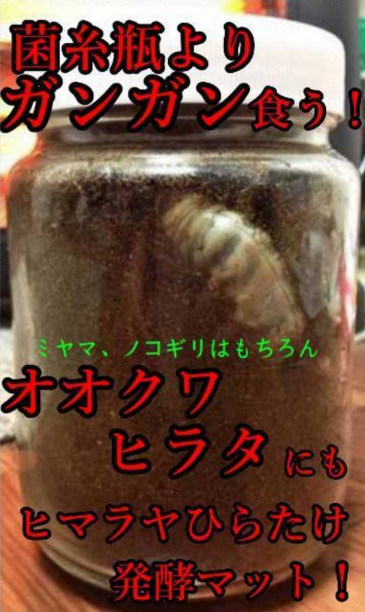 送料無料20L☆進化した！プレミアム3次発酵クワガタマット☆栄養添加剤、共生バクテリア3倍！アンテ・ミヤマ・ヒラタ・虹色・ノコギリに! 送料無料20L☆進化した！プレミアム3次発酵クワガタマット☆栄養 昆虫用品 特選！プレミアム3次発酵クワガタマット20L☆特殊 進化した！特選プレミアム3次発酵ヘラクレスマット20L微粒子 進化した！特選プレミアム3次発酵クワガタマット☆栄養添加剤 ミヤマクワガタに抜群！極上！プレミアム3次発酵