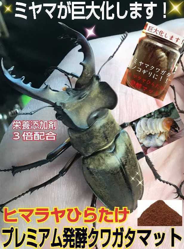 送料無料20L☆進化した！プレミアム3次発酵クワガタマット☆栄養添加剤、共生バクテリア3倍！アンテ・ミヤマ・ヒラタ・虹色・ノコギリに! 送料無料20L☆進化した！プレミアム3次発酵クワガタマット☆栄養 昆虫用品 特選！プレミアム3次発酵クワガタマット20L☆特殊 進化した！特選プレミアム3次発酵ヘラクレスマット20L微粒子 進化した！特選プレミアム3次発酵クワガタマット☆栄養添加剤 ミヤマクワガタに抜群！極上！プレミアム3次発酵