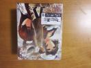 STEINS;GATE シュタインズ・ゲート Blu-ray BOX　美品