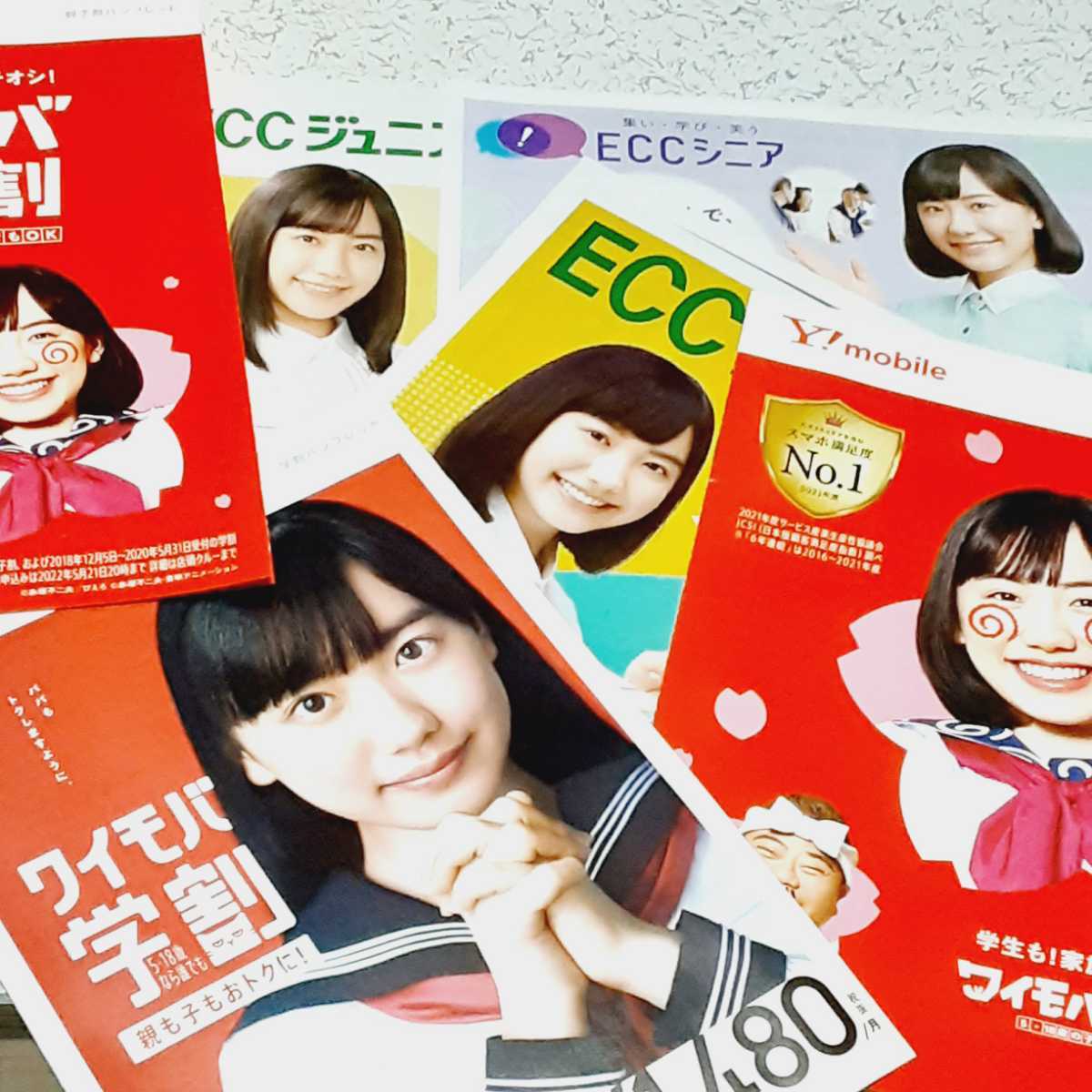 箱で発送 送料無料 即決】芦田愛菜 チラシ カタログ フライヤー ECC