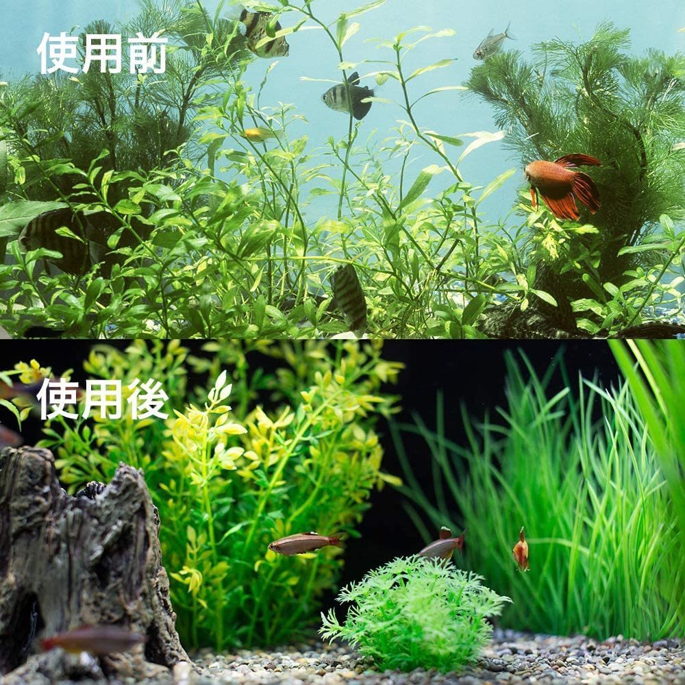 プロレイザー スクレーパー 水槽 苔 コケ取り 掃除 68ｃｍ 替刃30枚 付き 苔取り 水草 苔 水槽 掃除 クリーナー 水槽装飾品 売買されたオークション情報 Yahooの商品情報をアーカイブ公開 オークファン Aucfan Com