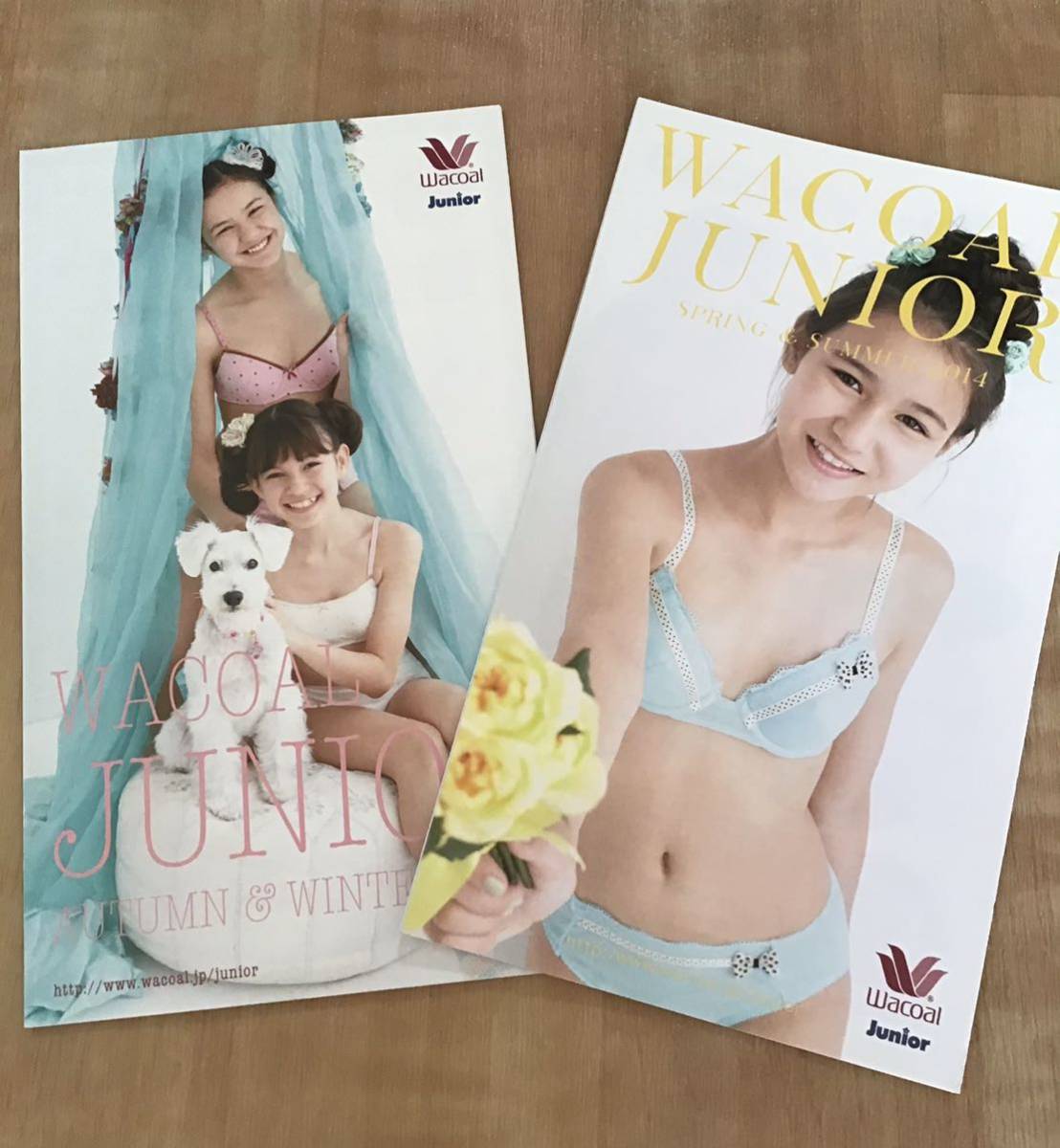 下着カタログ・ワコール・ジュニア&シンジ カトウ 2012年秋冬2014年春