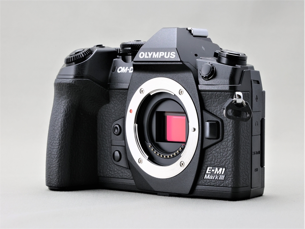 【中古・美品】OLYMPUS OM-D E-M1 Mark III　ブラック　ボディ Olympus Mark E-M1 Amateur Battery BCH-1