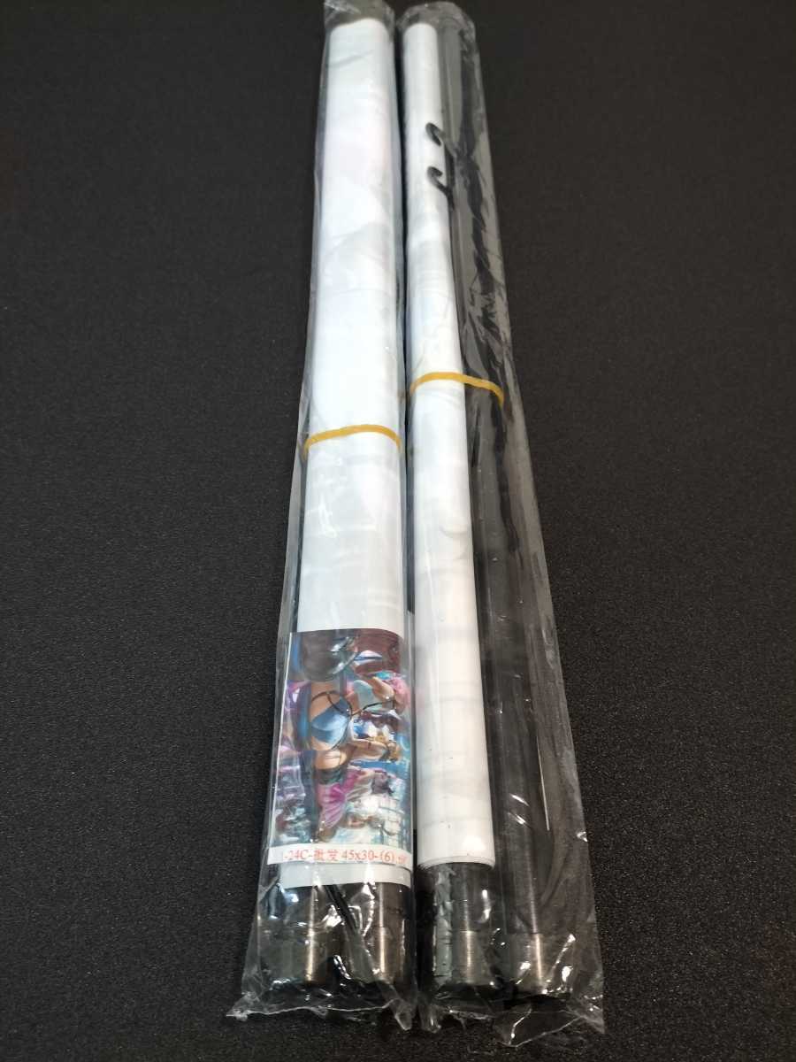 ポケモン/トウコ タペストリー2枚セット