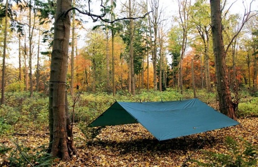 新品未使用】公式オンラインで購入のため修理保証 DD Tarp 4x4 Olive 