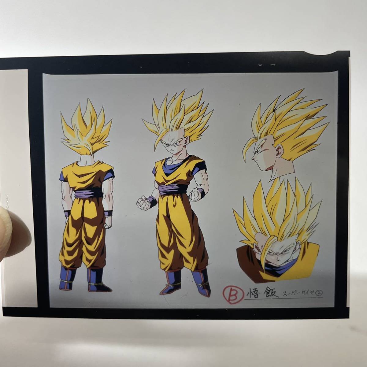ドラゴンボールZ 悟飯 ドラゴンボール ポジフィルム OF : BLOOD