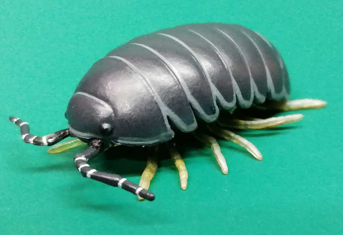 カプセルqミュージアム 裏庭の生き物 土壌生物大全 オカダンゴムシ ダンゴムシ だんごむし だんご虫 フィギュア 生き物 売買されたオークション情報 Yahooの商品情報をアーカイブ公開 オークファン Aucfan Com
