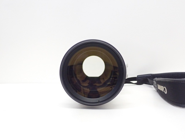 Canon EF 300mm F2.8L IS II USM 単焦点望遠レンズ キヤノン ハード 