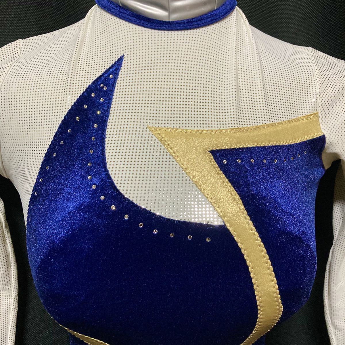 新体操 agiva 長袖 レオタード 38サイズ （レディースM-Lサイズ） 強 