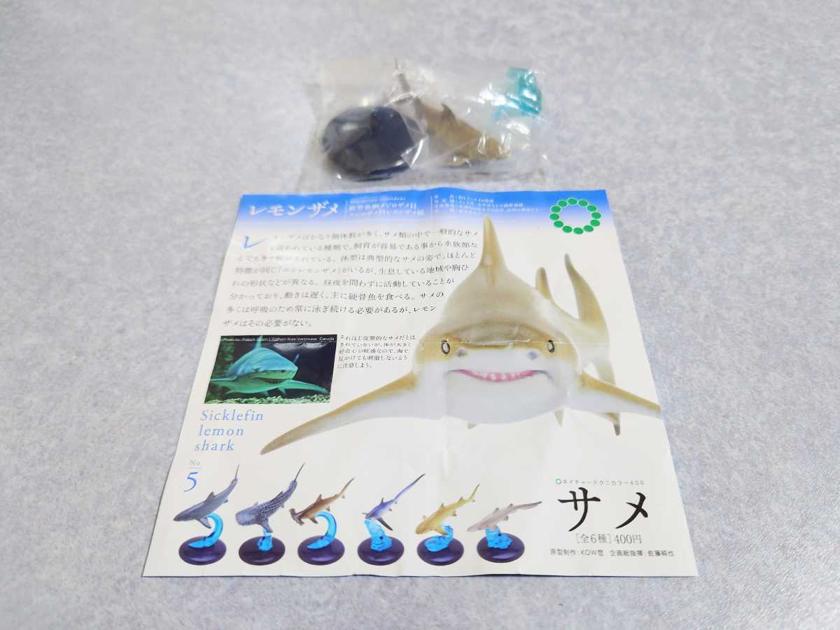 ネイチャーテクニカラー サメ レモンザメ 鮫 さめ 魚 動物 生物 フィギュア いきもん 袋 生き物 売買されたオークション情報 Yahooの商品情報をアーカイブ公開 オークファン Aucfan Com