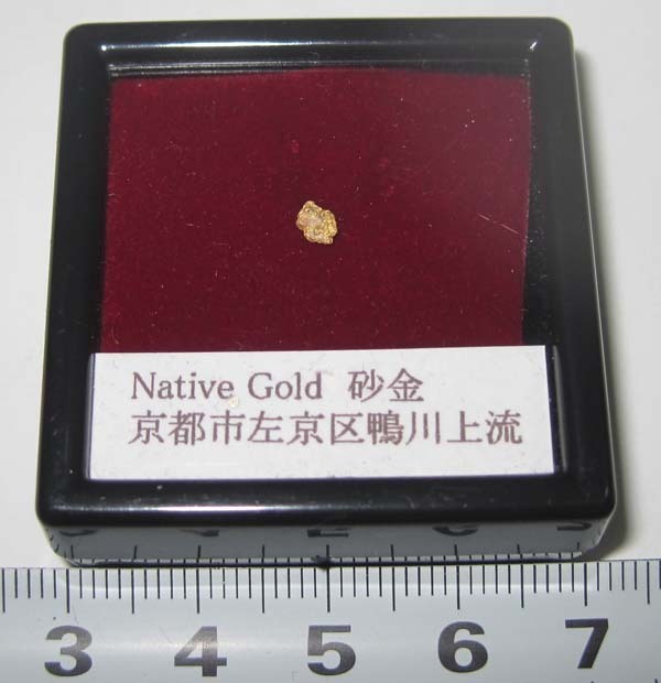 日本の鉱物 京都市左京区加茂川の自然金/砂金 大粒(原石)｜売買された
