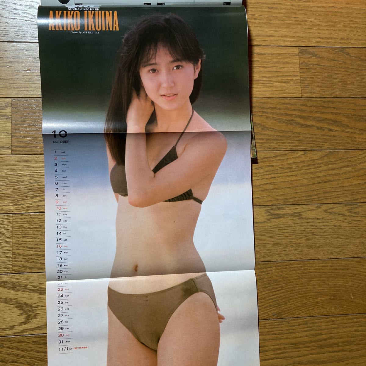 山口かおり /小沢なつき DELUXEマガジンORE 1988年11月号 生稲晃子ピンナップ 小沢なつき 森高