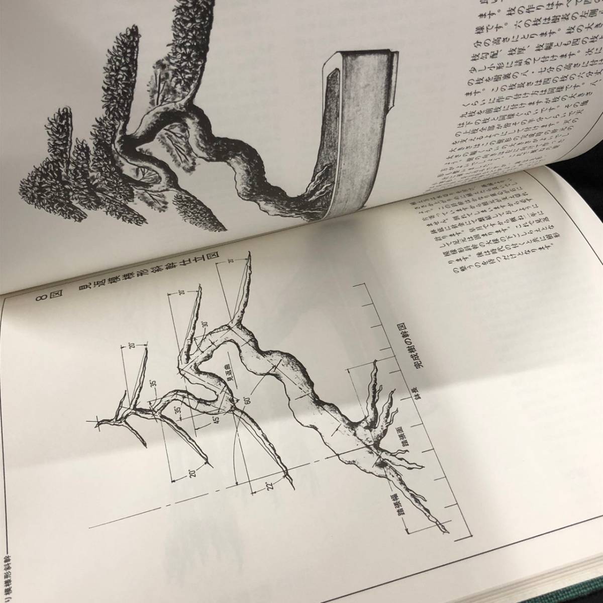 高等盆栽学教範 BCK423E 盆栽樹形学総論 各論 中津千吉 全日本盆栽学会 