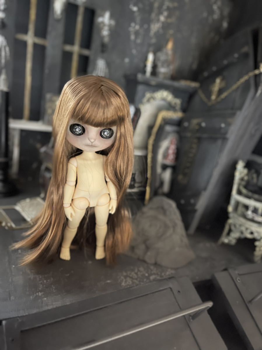 アイシードールミディカスタム:モンストボディ:カスタムドール