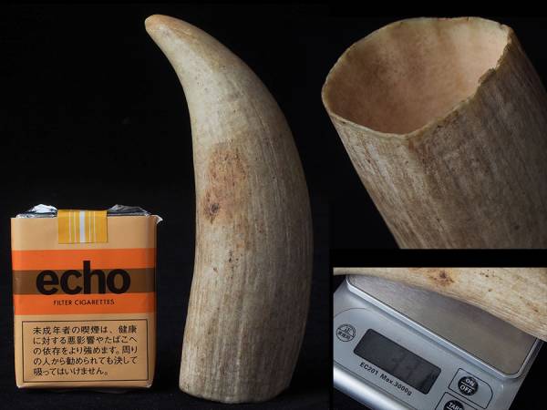 pa79_マッコウ鯨の歯 331g 鯨歯 抹香牙 / 犀角 獣(1) Yahoo