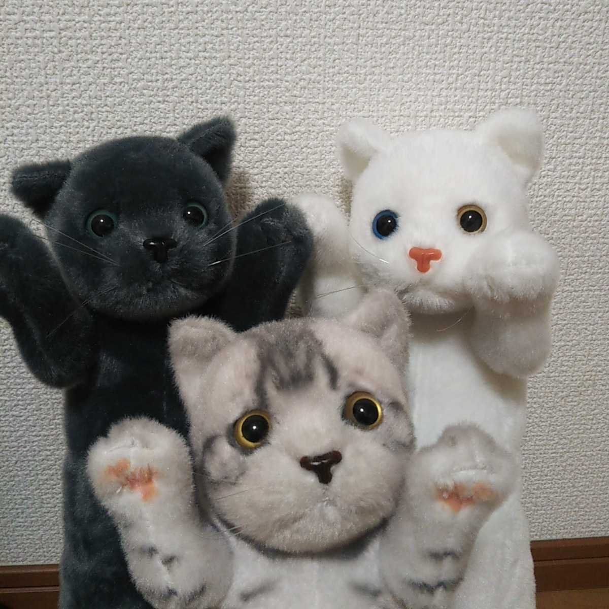 たっち ねこ ぬいぐるみ ３匹 セット 白猫 グレー まだら 約40cm 猫 ネコ ねこ 非売品 たっちリアル子猫 タグ付き モーリー ネコ一般 売買されたオークション情報 Yahooの商品情報をアーカイブ公開 オークファン Aucfan Com