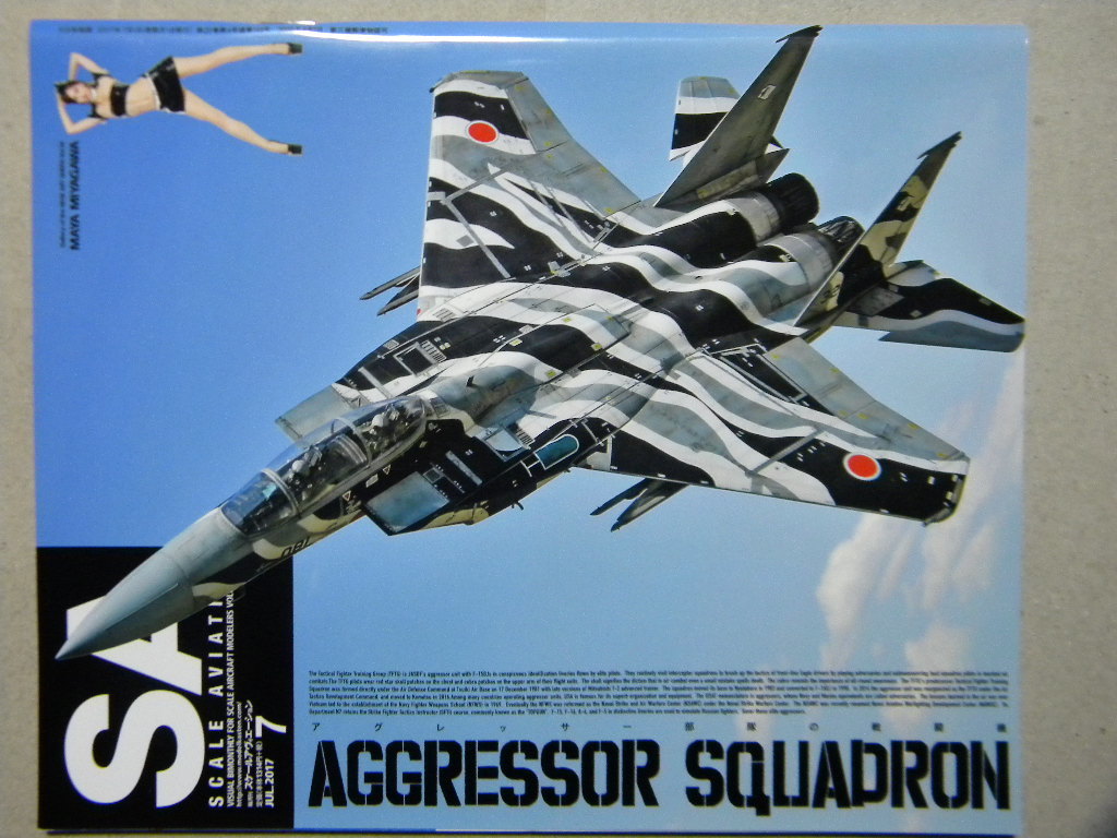 スケールアヴィエーション116 アグレッサー部隊の戦闘機 F 15dj 三菱t 2 F 16n F A 18c F 5e T 38 A 4 F 14 タミヤ ハセガワ Afvクラブ その他 売買されたオークション情報 Yahooの商品情報をアーカイブ公開 オークファン Aucfan Com