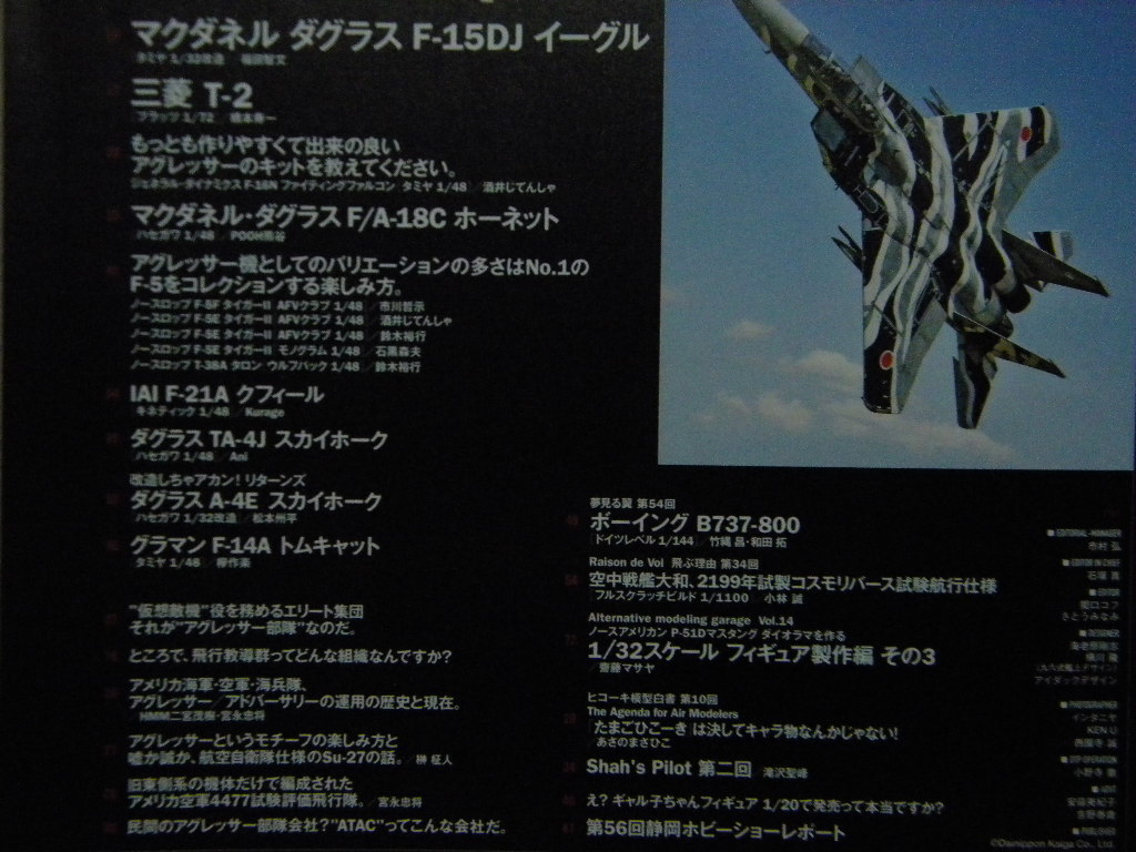 スケールアヴィエーション116 アグレッサー部隊の戦闘機 F 15dj 三菱t 2 F 16n F A 18c F 5e T 38 A 4 F 14 タミヤ ハセガワ Afvクラブ その他 売買されたオークション情報 Yahooの商品情報をアーカイブ公開 オークファン Aucfan Com