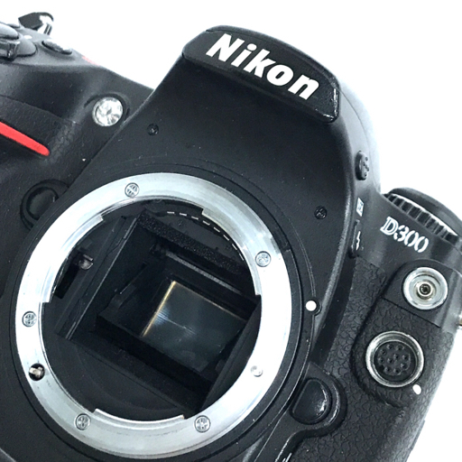 Nikon D300 AF NIKKOR 70-300mm 1:4-5.6 D 28-80mm 1:3.5-5.6 D