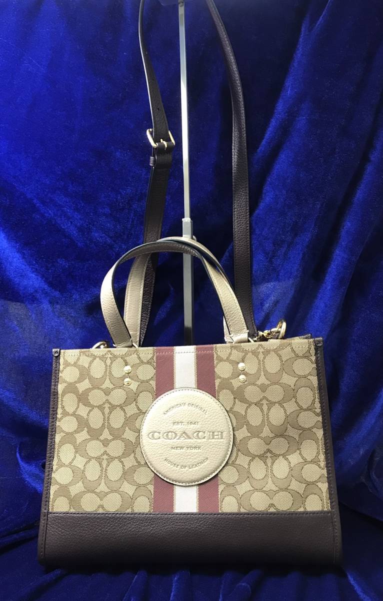 3173-4】 COACH コーチ シグネチャー 2way ミニハンドバッグ 