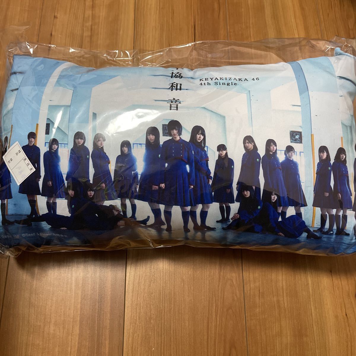 送料無料，最新作 欅坂46不協和音 神の手 クッション(その他)｜売買されたオークション情報、yahooの商品情報をアーカイブ公開 - オークファン か行