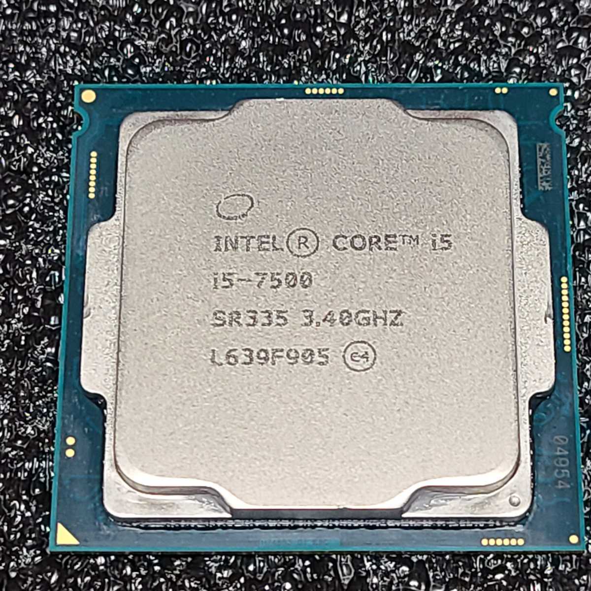 s1068333299.1