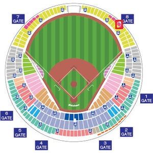 ◆6/4(土) 横浜vs千葉ロッテ@横浜 ライト側外野応援シート ペア
