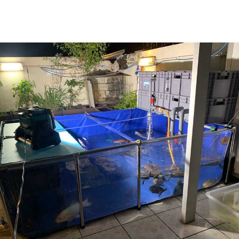 前面クリア プール 280l 幅100 奥行80 高さ35cm No1 大型 水槽 タンク 鯉 大型魚 屋外 透明 ｐｖｃ ビニール 池 1cm 売買されたオークション情報 Yahooの商品情報をアーカイブ公開 オークファン Aucfan Com