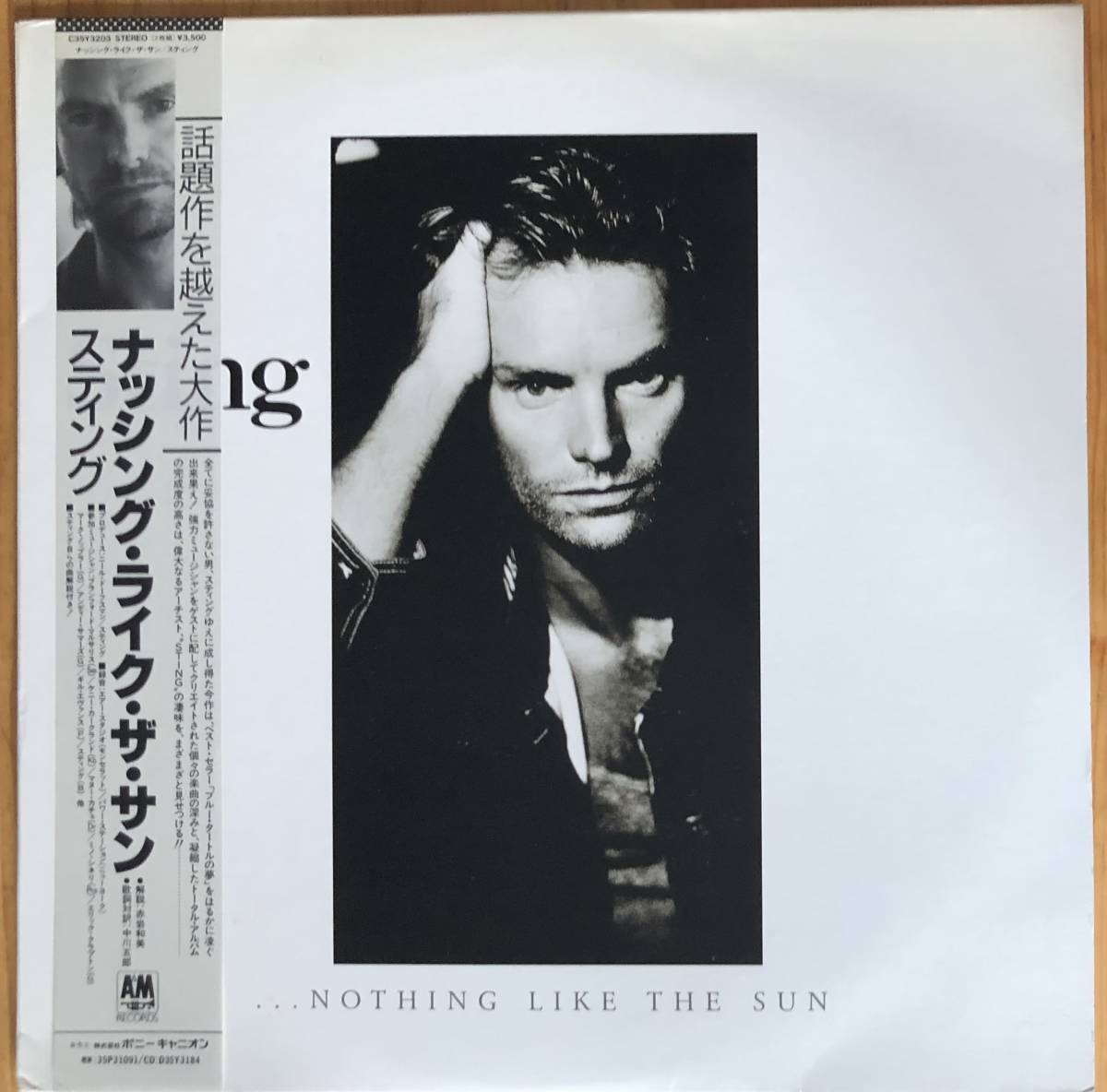 HOT，大人気 美盤 Sting Nothing Like The Sun 帯付き C35Y3203 スティング ナッシング ライク ザ サン LP レコード 2枚組(Sting)｜売買されたオークション情報、yahooの商品情報をアーカイブ公開 - オークファン S