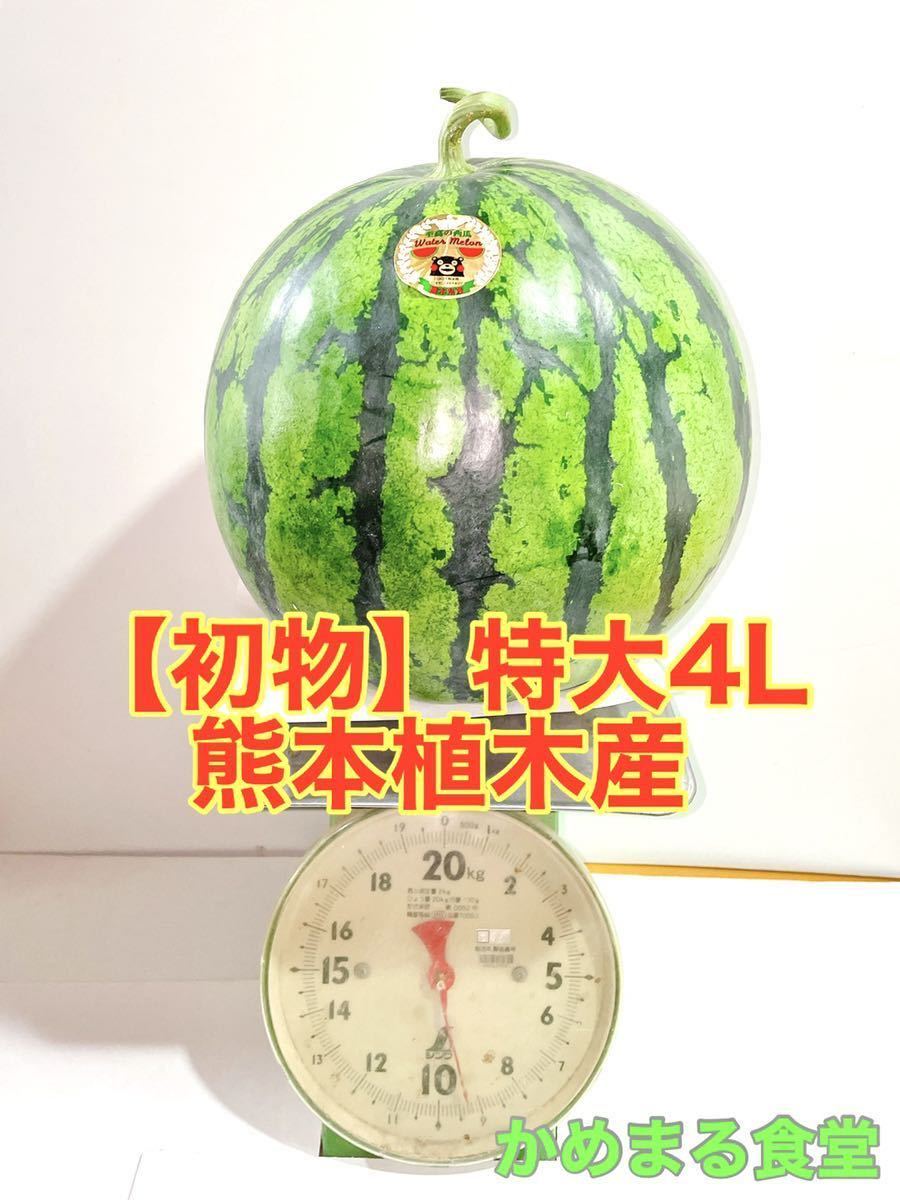 初物 西瓜 スイカ 特大4l 約9k 熊本植木産 かめまる食堂 スイカ 売買されたオークション情報 Yahooの商品情報をアーカイブ公開 オークファン Aucfan Com