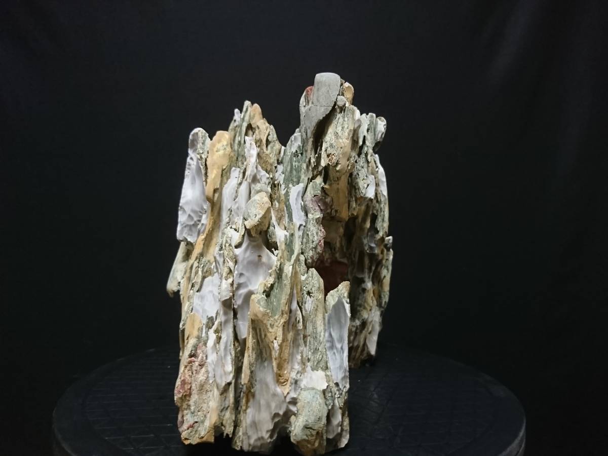 竜眼石 盆栽小鉢図鑑 模様入山水図切立長方 越前芳水 和鉢 龍眼石
