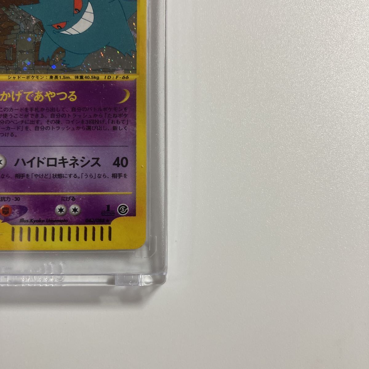 即納可能 ポケモンカード ゲンガー e 044 1ED PSA10 神秘なる山 ...