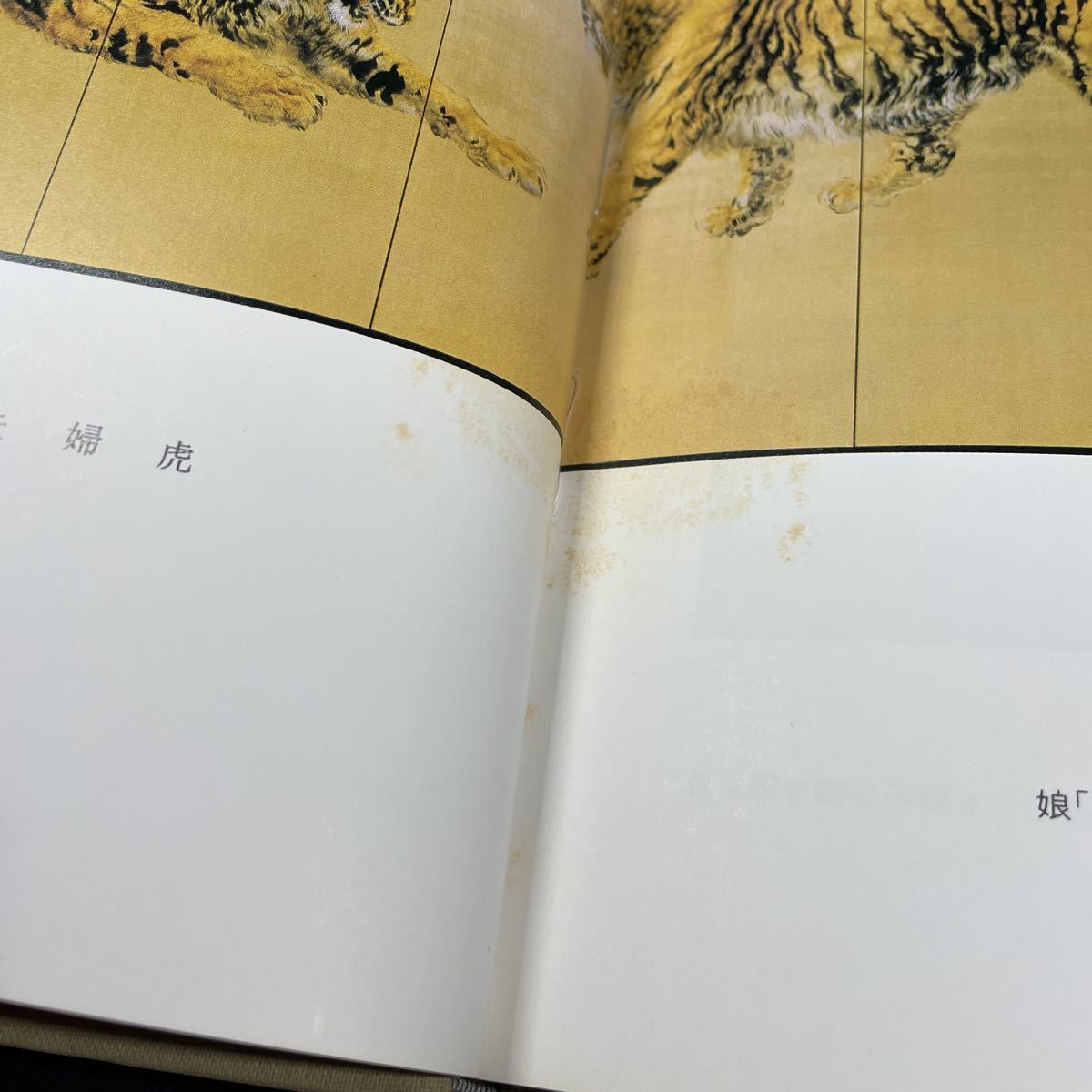【状態良】貴重　大橋翠石 岐阜県郷土画人伝 青木彌太郎 著 昭和56年 状態良貴重 大橋翠石 岐阜県郷土画人伝 青木彌太郎 著 昭和56年