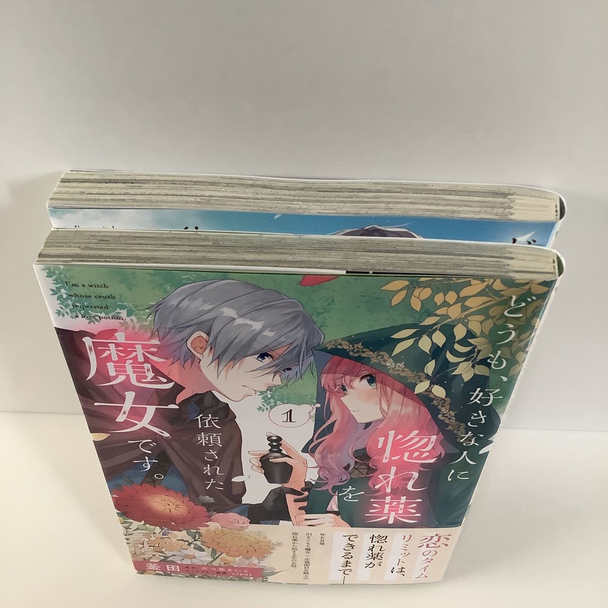釜田 六つ花えいこ どうも 好きな人に惚れ薬を依頼された魔女 1巻 2巻 ビジュアルボード有り フロースコミック 女性 売買されたオークション情報 Yahooの商品情報をアーカイブ公開 オークファン Aucfan Com