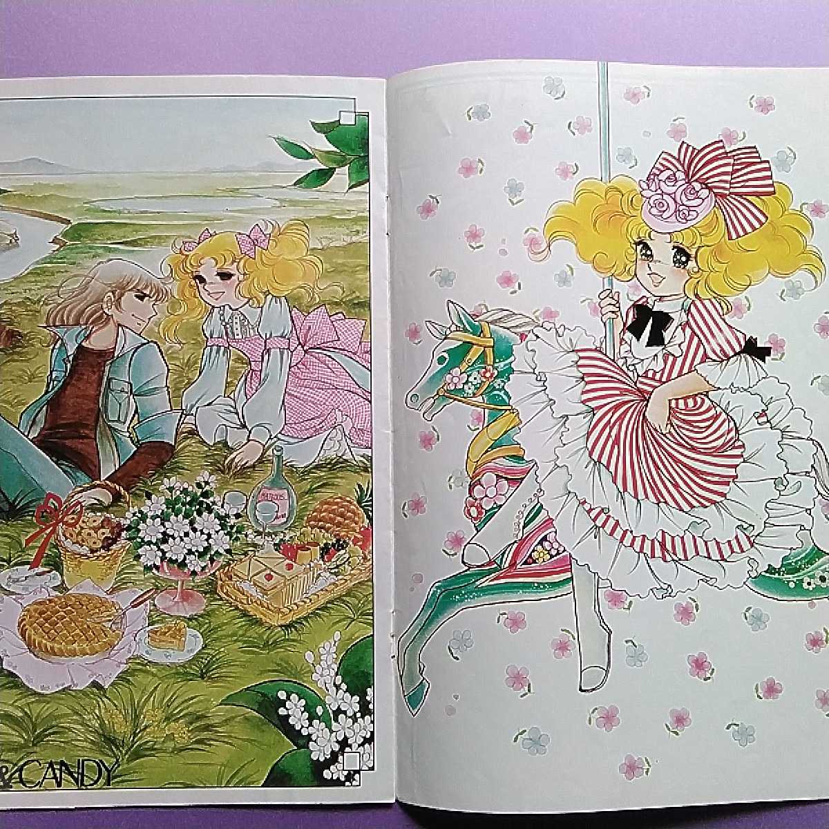 注文後の変更キャンセル返品 キャンディキャンディイラスト集 なかよし付録他 Www Anavara Com