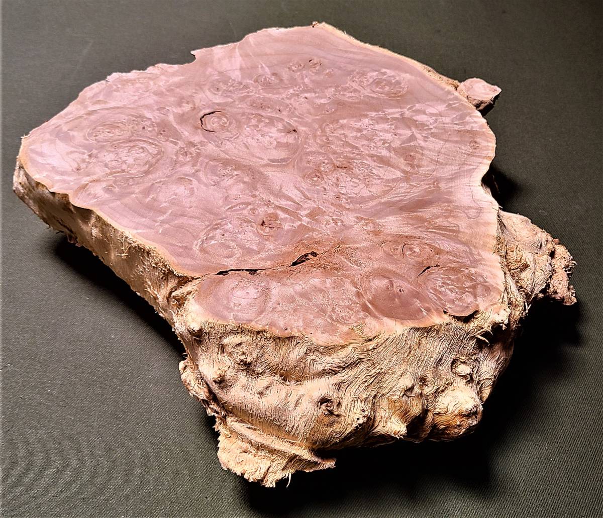 楓 カエデ □ 無垢瘤（コブ）板 葡萄杢 超激レア 銘木 DIY □（139）