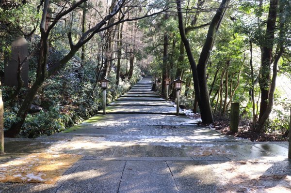貴重 激レア 開運CD 「菊理姫を称える御歌寿ぎの歌」神道／神事 深見東 
