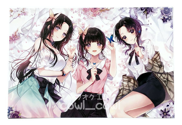 鬼滅の刃 ポスター 27 同人グッズ ファンアート 胡蝶しのぶ 胡蝶カナエ