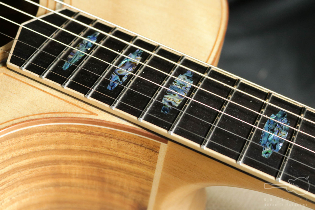 送料無料!!】アコースティックギター Cole Clark CCAN3EC-BB コール