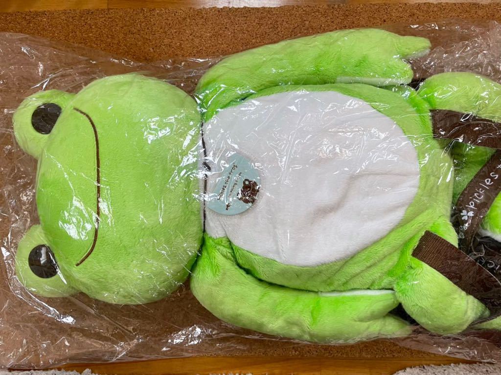 ケロケロケロッピ ワッペン かえる けろけろけろっぴ カエル 体操服入れ 体操着入れ 巾着 巾着リュック オンラインショップ 巾着リュック