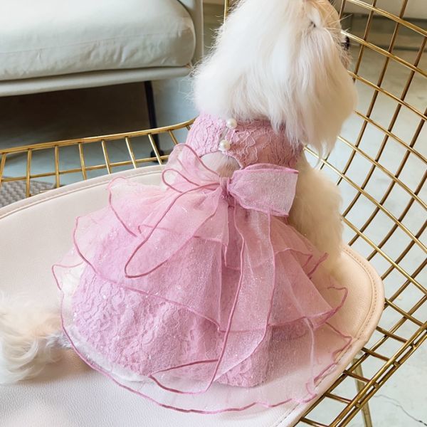 犬服 ドッグウェア ワンピース ドレス レース ティアード チュール りぼん 高級感 上品 春 夏 秋 新作 イベント服 ピンクmサイズ Mサイズ 売買されたオークション情報 Yahooの商品情報をアーカイブ公開 オークファン Aucfan Com