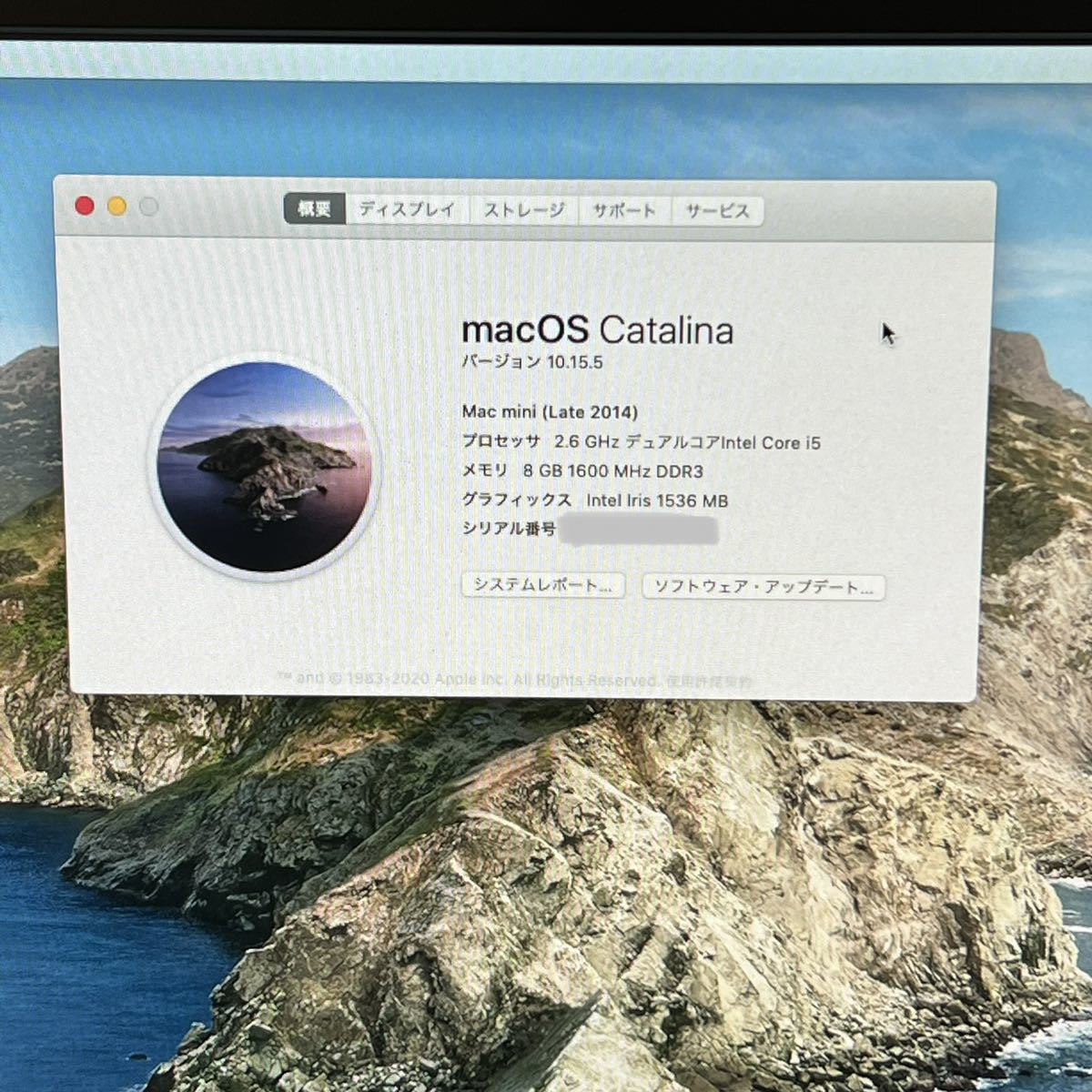 Apple MACMINI2014/CPU Intel Core i5/8GB/1TB/Office2021 Mac Apple 