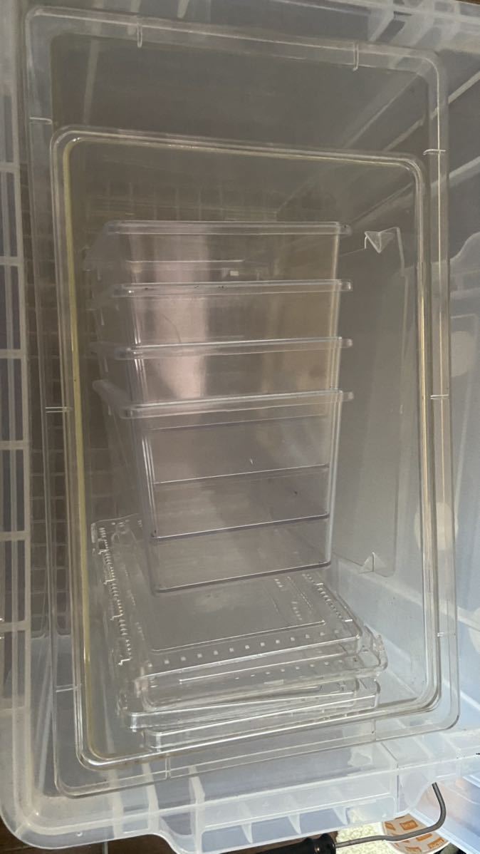 小バエシャッター中1つ大1つアイリスバックルコンテナ1つクリアスライダー4個 幼虫卵様シリコンピンセット、菌糸スプーン人口蛹室セット_1