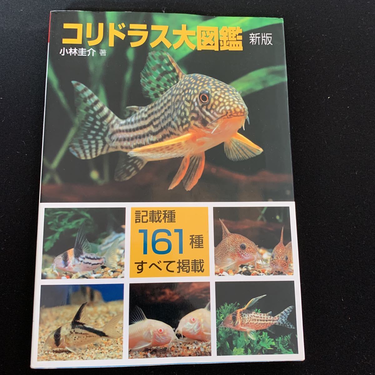 送料無料 コリドラス大図鑑(新版)記載種161種類 熱帯魚 観賞魚