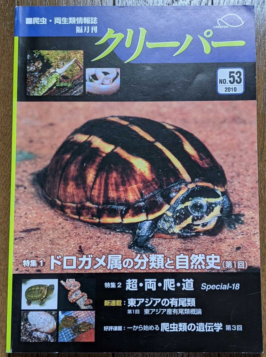 クリーパー爬虫類両生類情報誌20冊セット