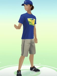 ポケモンgo Tシャツの値段と価格推移は 件の売買情報を集計したポケモンgo Tシャツの価格や価値の推移データを公開