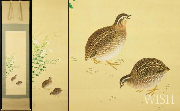 真作】【WISH】川崎小虎「山菊に鶉」日本画 掛軸 絹本 共箱 花鳥図 〇