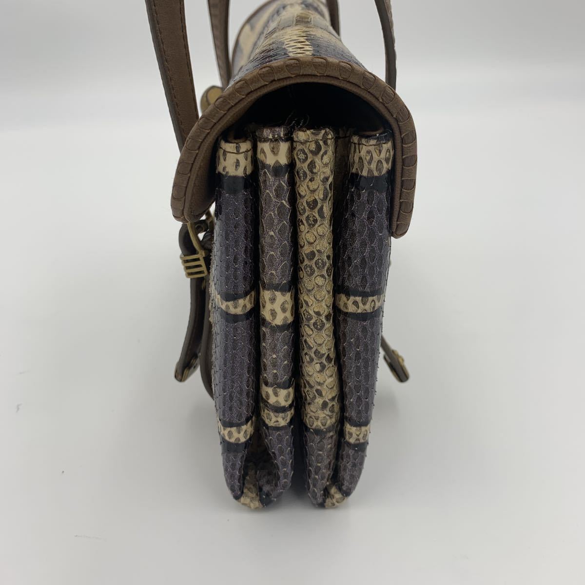 1円〜【極美品 超希少】BOTTEGA VENETA ハンド バッグ パイソン 