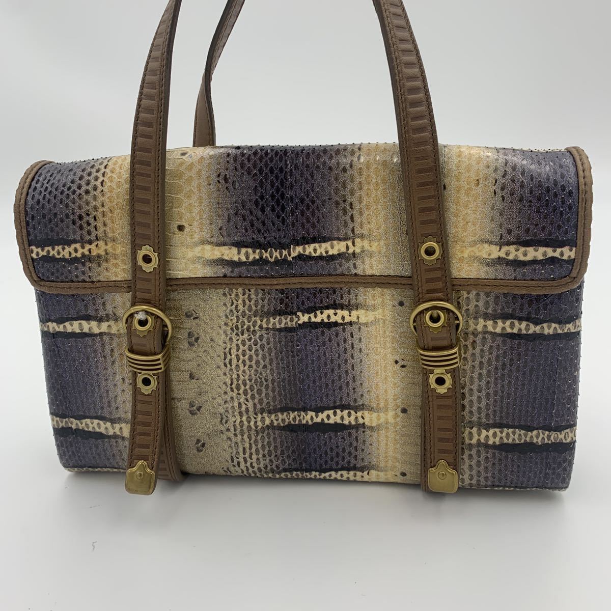 1円〜【極美品 超希少】BOTTEGA VENETA ハンド バッグ パイソン 