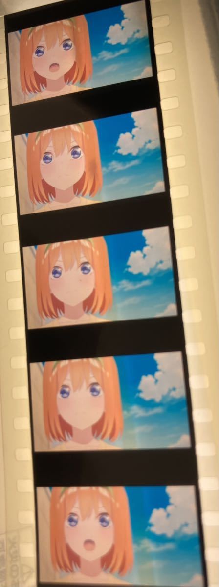 映画 劇場版 五等分の花嫁 第6週 入場者 来場者 特典 フィルム 生コマフィルム 激レア 希少 限定 名シーン　四葉　中野四葉
